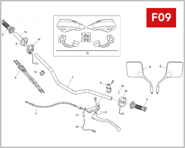 F09 - HANDLEBAR CONTROLS