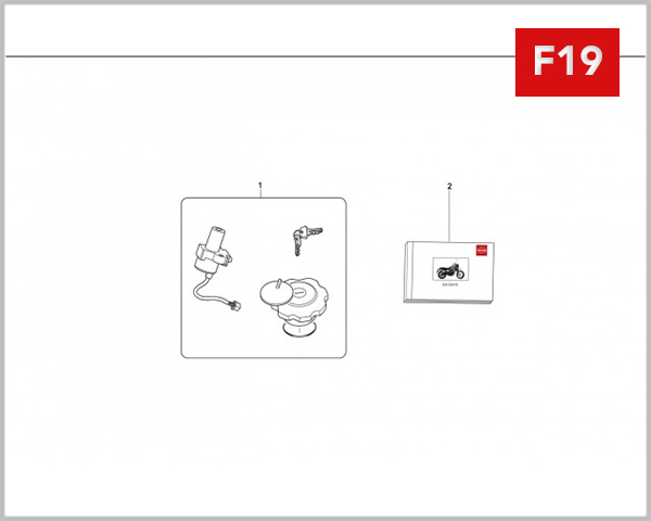 F19 - LOCKS SET MANUAL