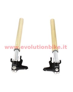 Marzocchi 50 mm OEM Gold Forks (pair)