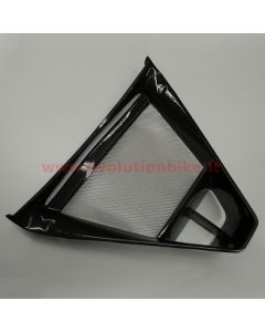 F4 Y10 Radiator Cover - Meshed