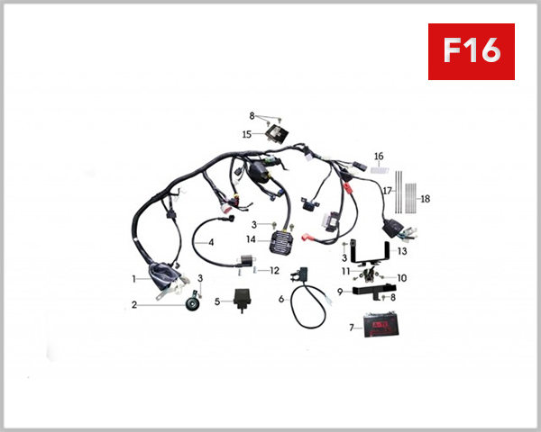 F16 - MAIN WIRING 