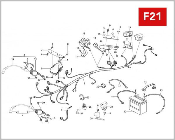 F21 - MAIN CABLE ASSY