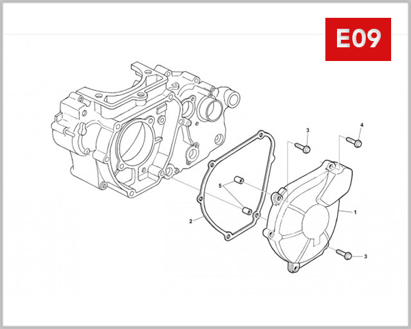 E09 - LEFT CRANKCASE COVER 