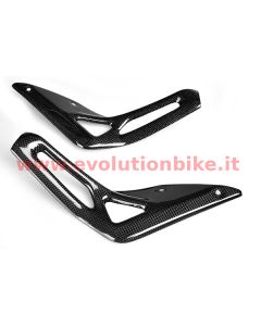 Dragster Carbon Underseat Panels (pair)